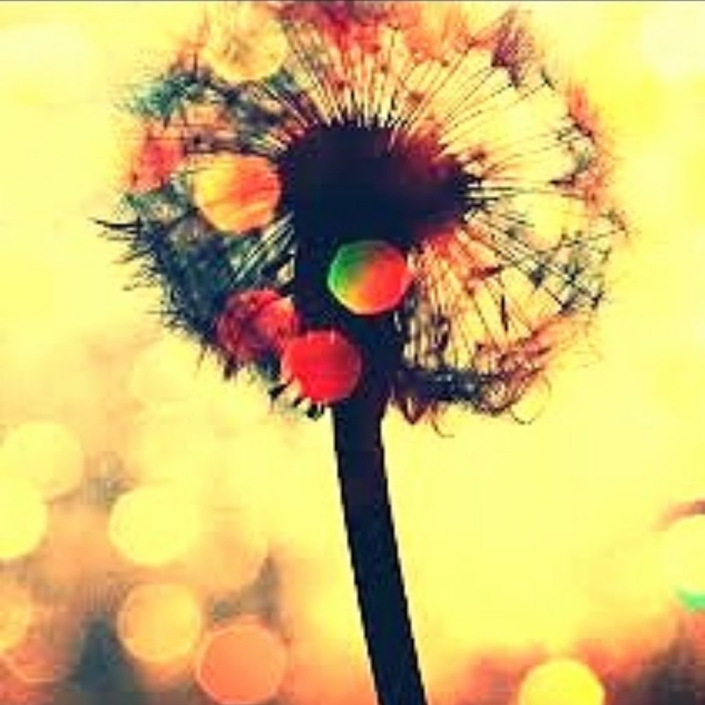 Meet your Posher, Marys